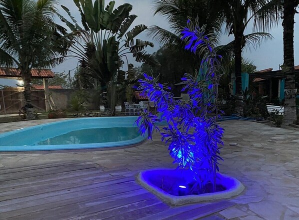 A pool area with a small, illuminated plant in the center.