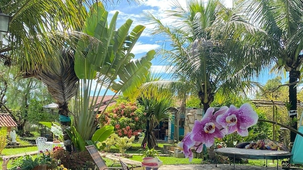Un espace aménagé au bord de la piscine, avec des chaises longues, une petite piscine et une végétation tropicale luxuriante.