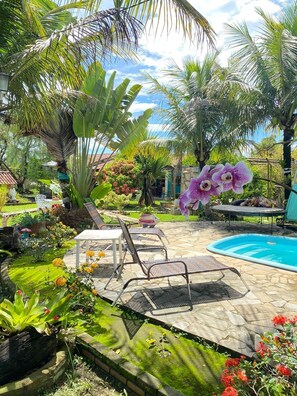 A poolside area with lounge chairs, a small pool, and lush tropical plants. - Orchid Retreat Lodging (quatis)
