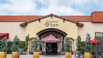 Winery