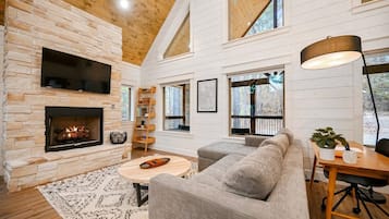 Smart TV, fireplace, books