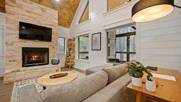 Smart TV, fireplace, books