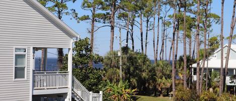 A coastal house with a balcony, surrounded by tall pine trees and a clear view of the ocean.