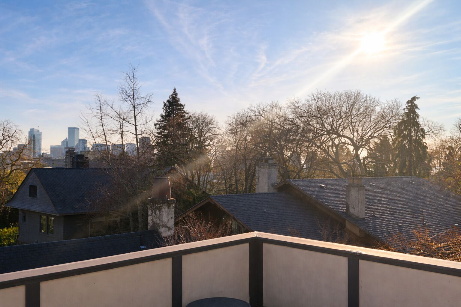 A residential area with houses, trees, and a city skyline in the background.