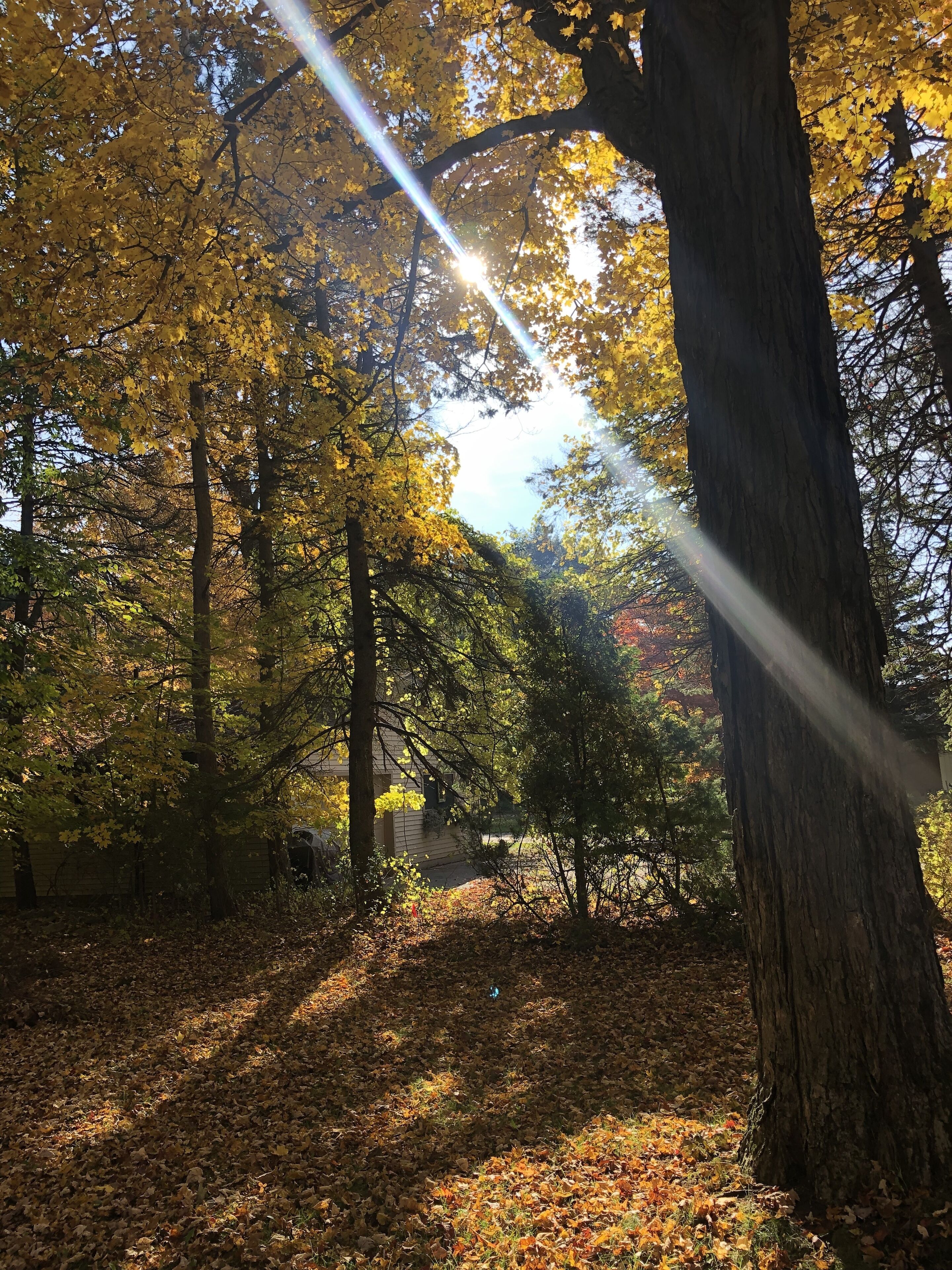 Overnatningsstedets område