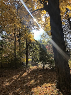 Overnatningsstedets område