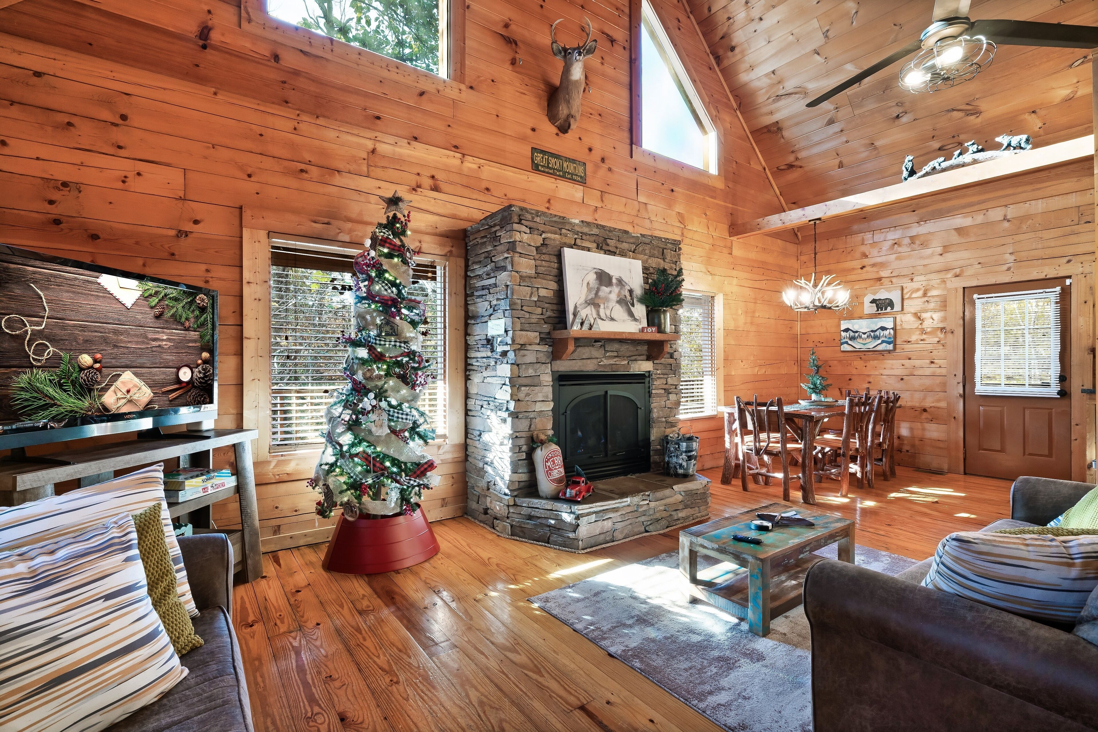 Smart TV, fireplace, video games