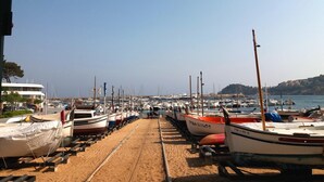 A marina with boats docked in rows, a sandy walkway, and a clear sky.