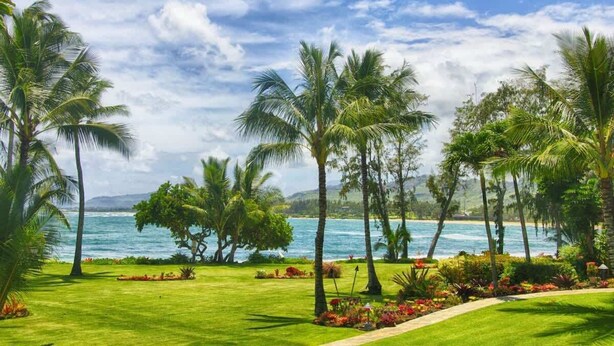A tropical garden with palm trees and a view of the ocean. - Lae Nani 328. Great view from this Kauai Condo. (Kapaʻa)