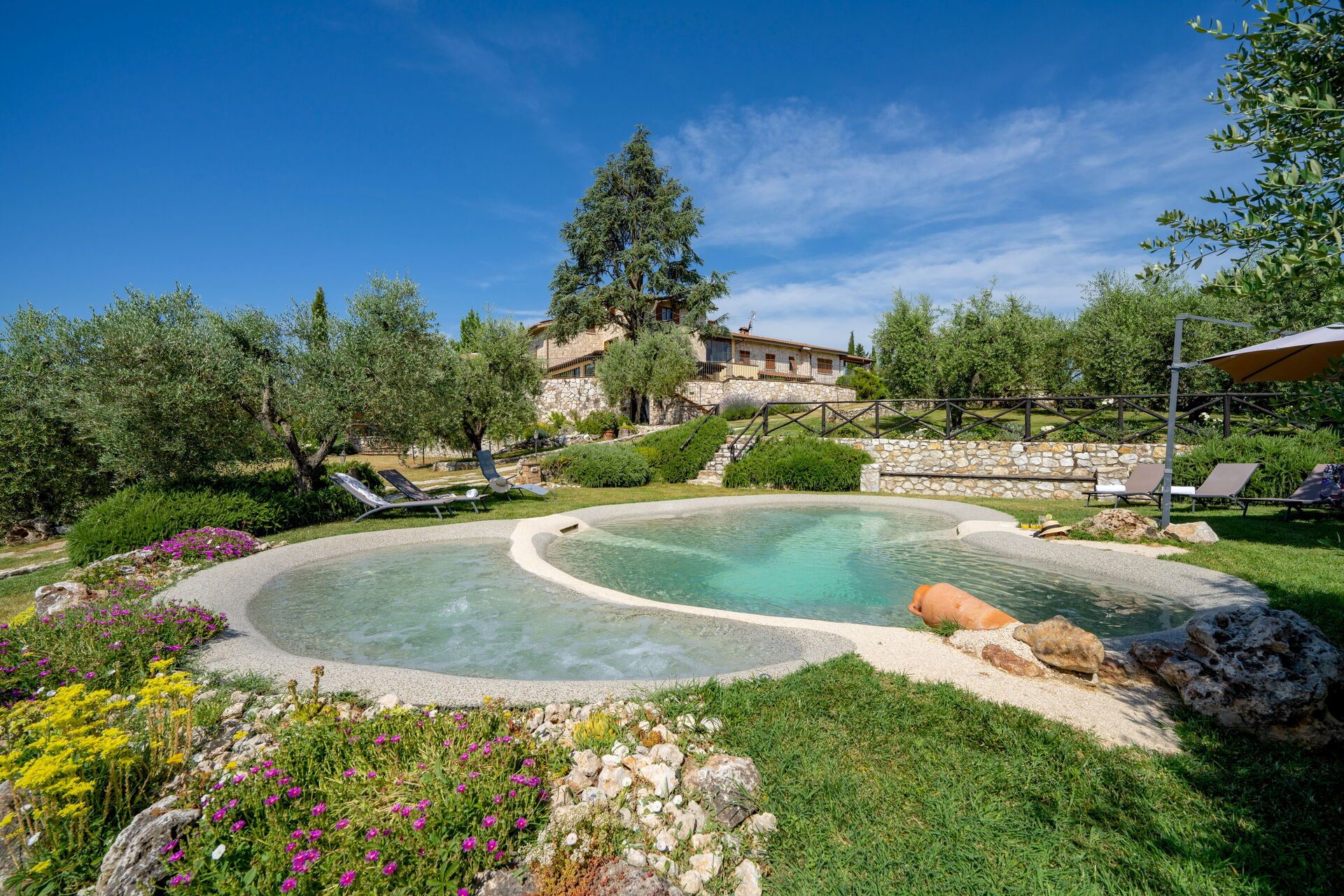 Una piscina con borde de piedra, rodeada de césped y flores, con una casa al fondo.