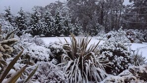 A snowy landscape with trees and shrubs covered in snow. - The Cwtch - Cosy Home, with Breakfast Basket (Little Hartley)
