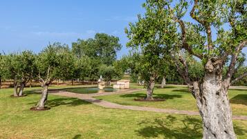 Jardines del alojamiento