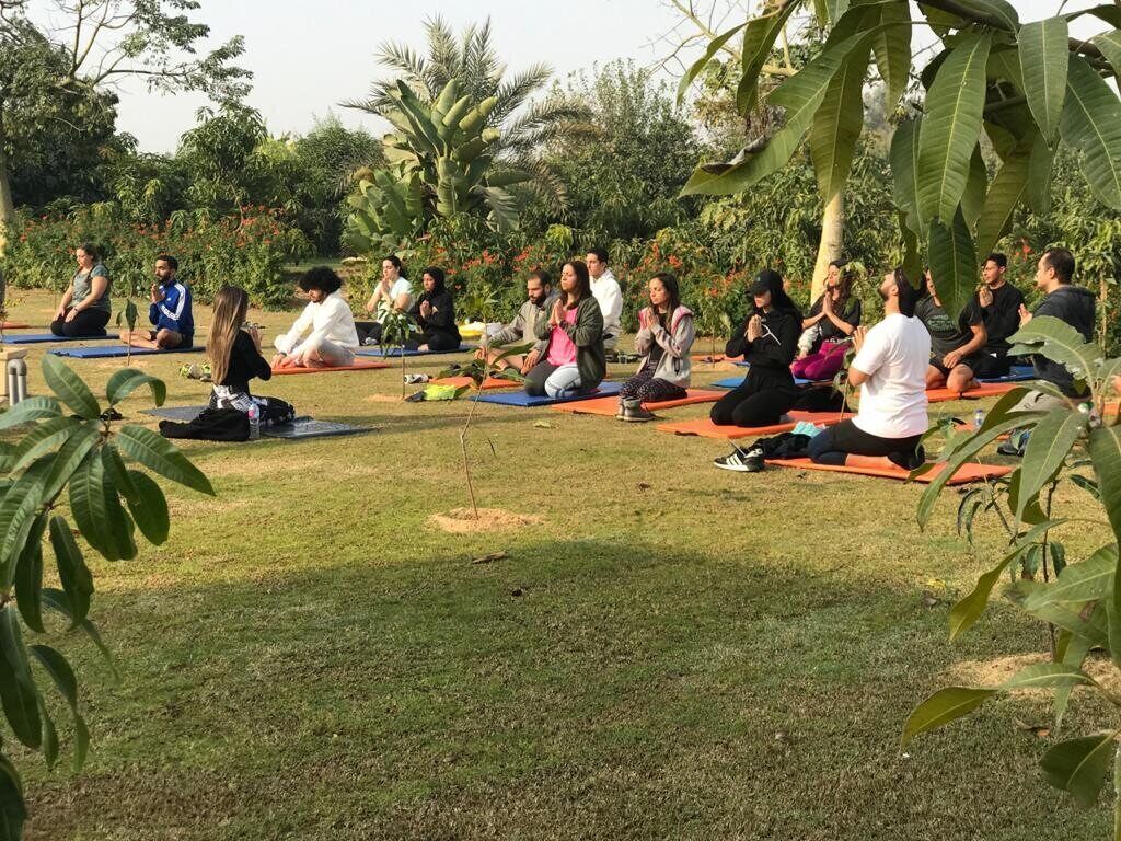 A group of people sitting on mats outdoors in a grassy area with trees and plants around.