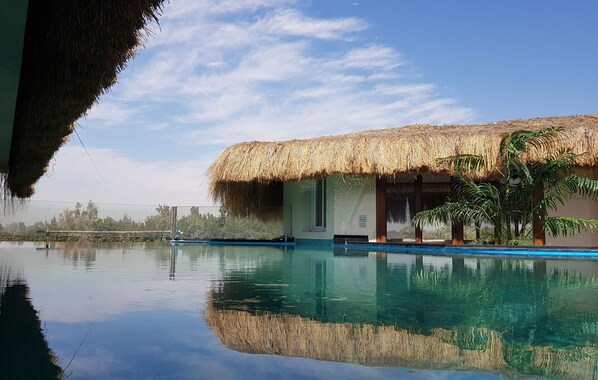A poolside view of a building with a thatched roof, surrounded by a calm pool, and palm trees nearby.