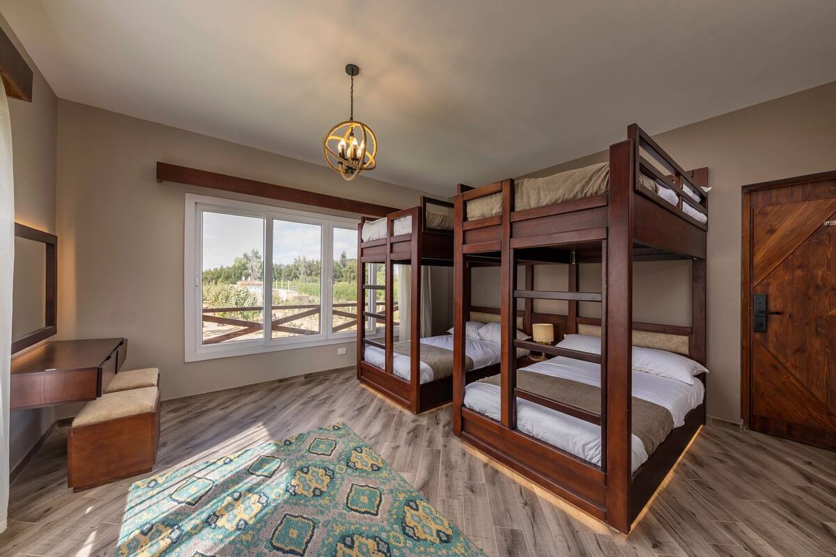 A room with bunk beds, a desk, and a large window with a view of greenery.