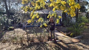 Une personne se tient dans un jardin où l’on peut voir des arbres aux fleurs jaunes, une terrasse en bois et un bâtiment en arrière-plan.