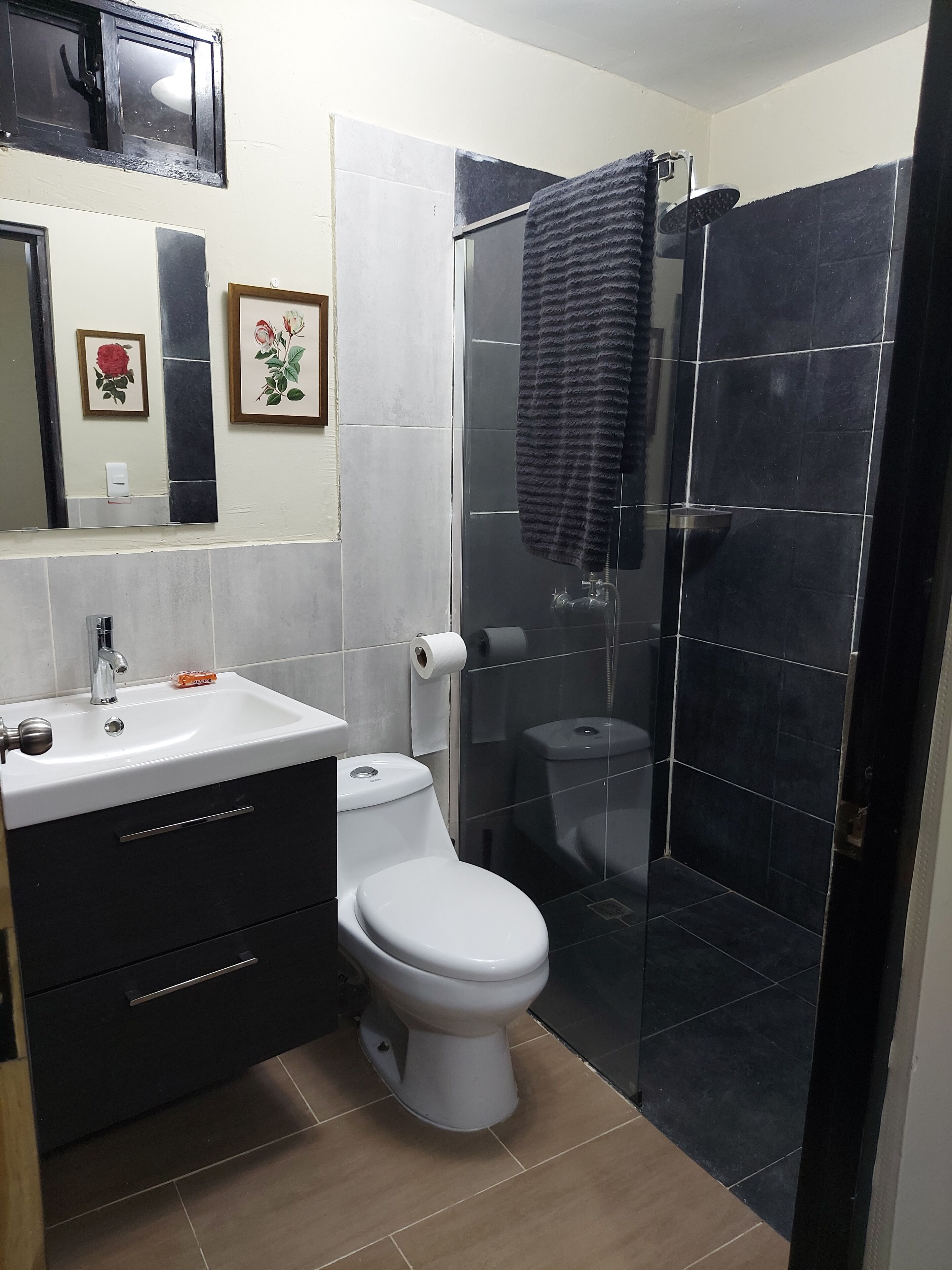 Shower, towels, soap, toilet paper
