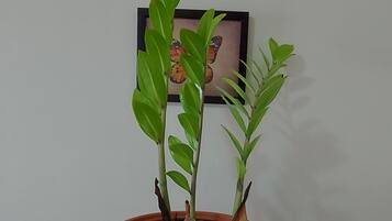 Detalle del interior