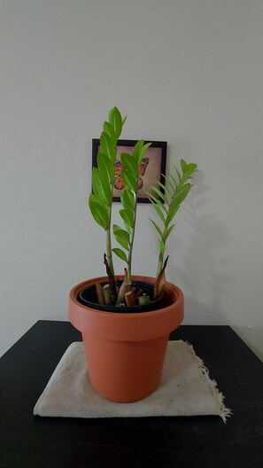 Détail de l’intérieur