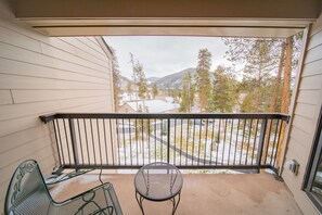 Property grounds - Spacious 2B/2B, Fireplace, Indoor Pool/Hot Tub (Keystone)