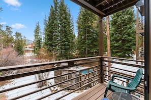 Property grounds - Modern 1 BDR Mountain Escape - Stunning Location! (Breckenridge)