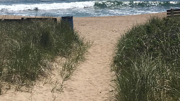Uma trilha de areia leva até o oceano, com ondas quebrando na costa.