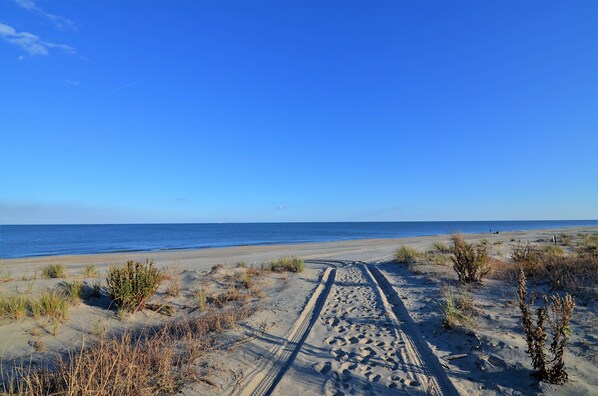 Beach nearby - 3 BEDROOM 2 BATH DOG FRIENDLY - Ocean Block, 2D Delano, Dewey Beach (Dewey Beach)