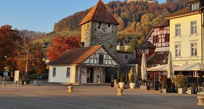 Historic timbered house with panoramic sea view, 200 m from the lake