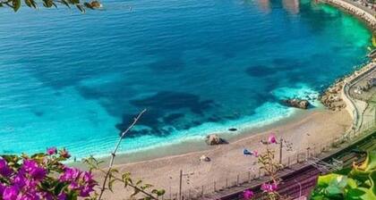 Studio in a Pierre & Vacances residence.