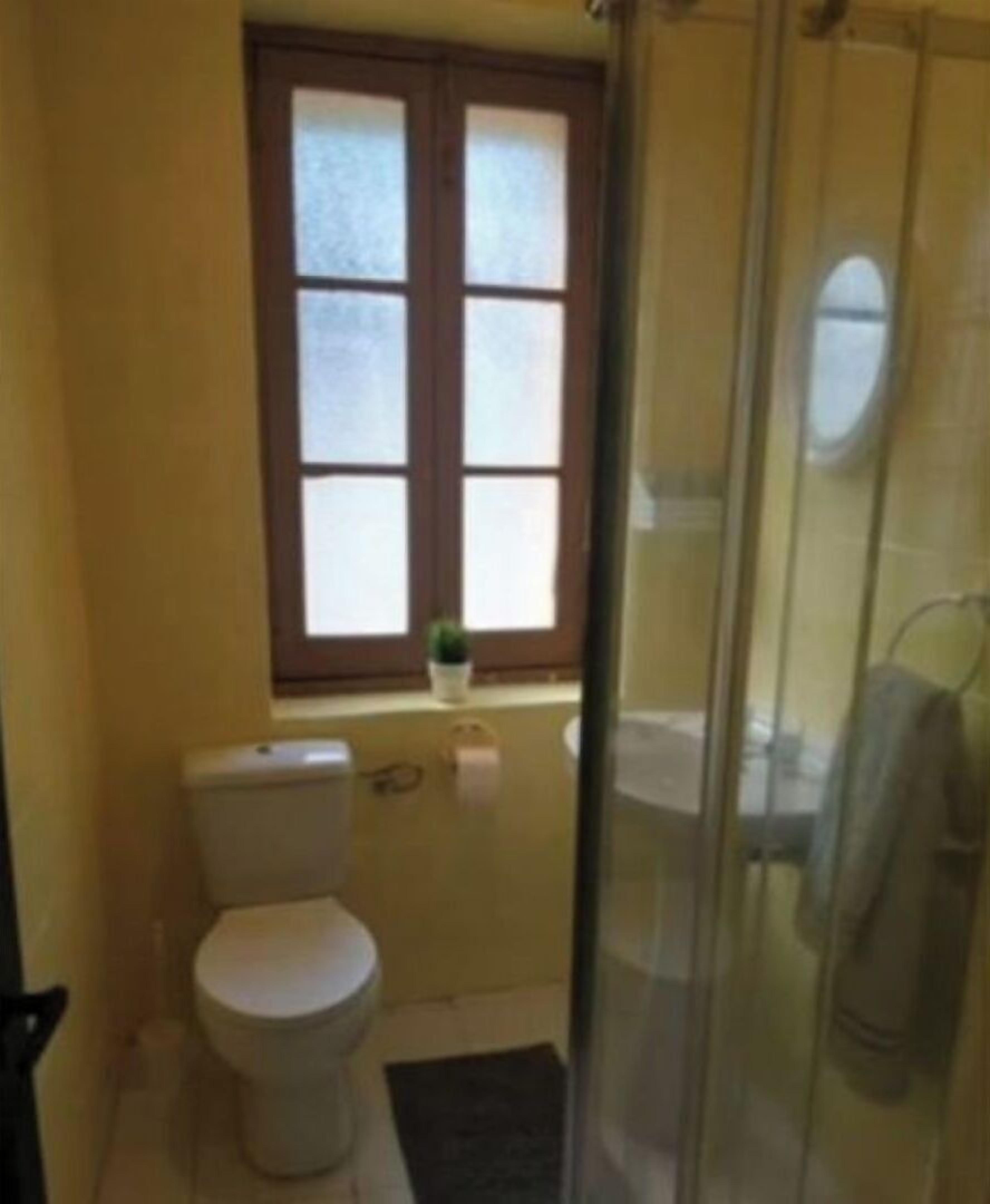 Shower, towels, soap, toilet paper