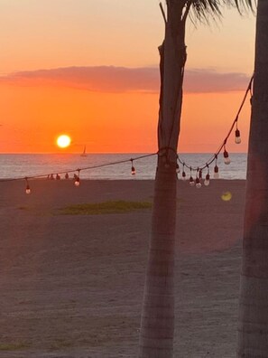 بالقرب من الشاطئ