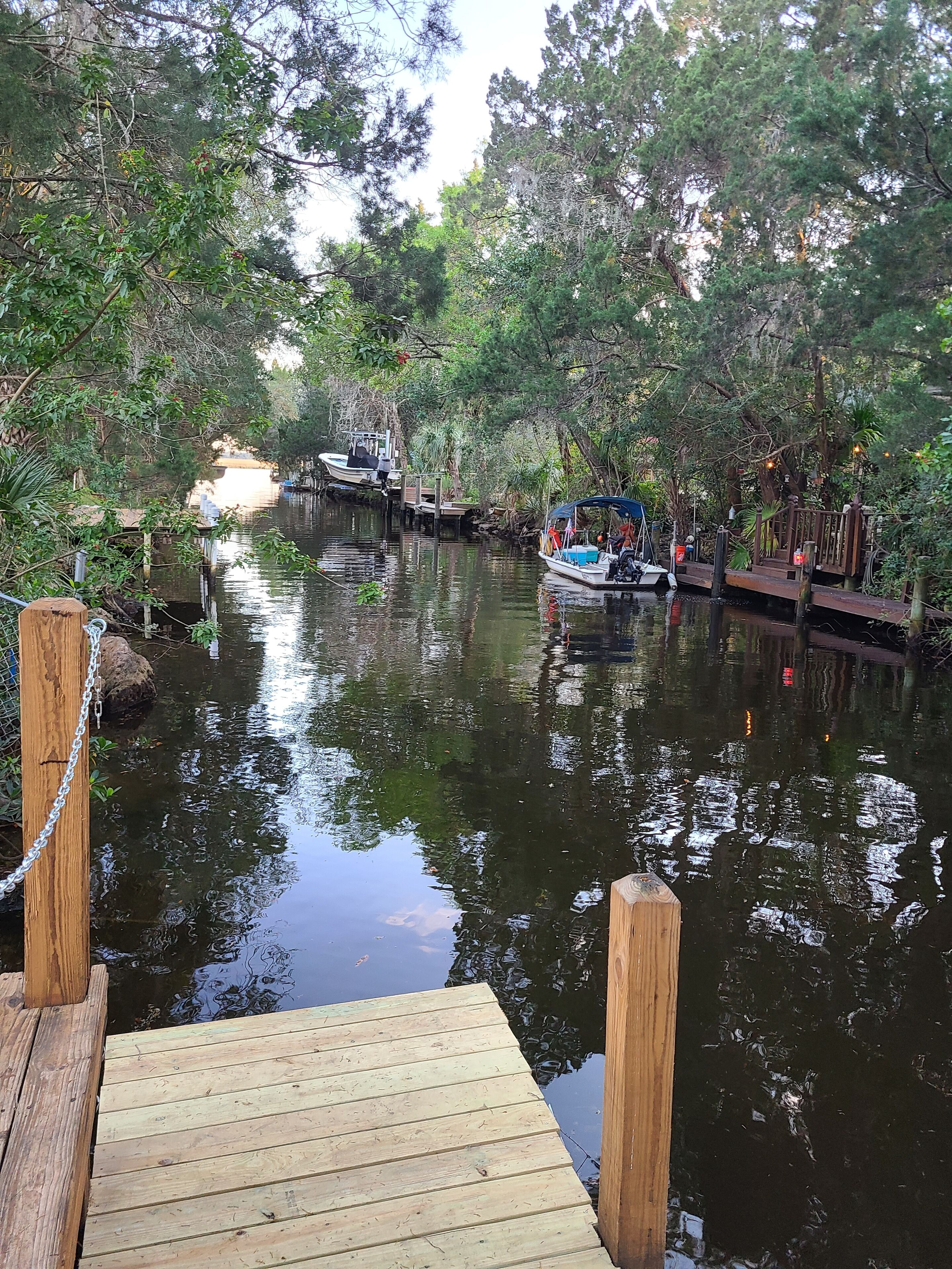 Cozy Canal Cottage with water access to Homosassa River and the Gulf of Mexico