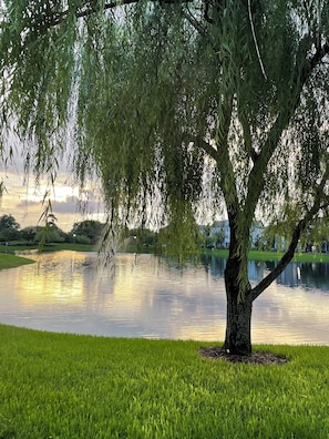 Property grounds - House close to Downtown Orlando has Walking trail and next to Baldwin Park Lake (Orlando)