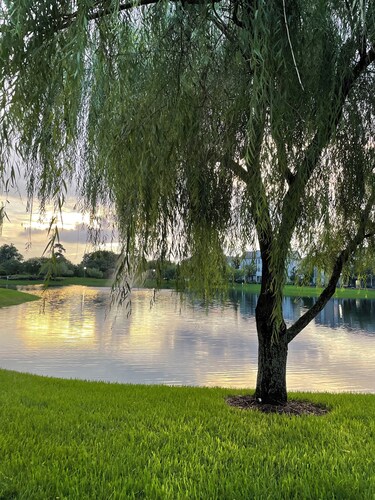 House close to Downtown Orlando has Walking trail and next to Baldwin Park Lake