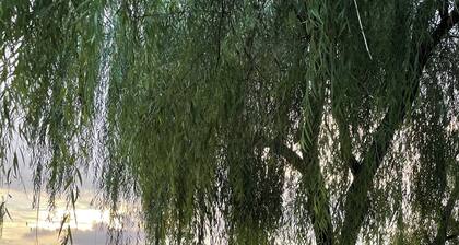 House close to Downtown Orlando has Walking trail and next to Baldwin Park Lake