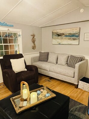 Smart TV, DVD player, books, video library - Charming Waterfront Canal Home in beautiful Old Homosassa! 5 Kayaks, Dock, Bikes (Homosassa)