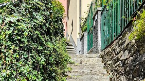 A narrow stone staircase leading up to a building with a green metal gate. - 3 bedroom pet friendly home in Zoagli (Zoagli)
