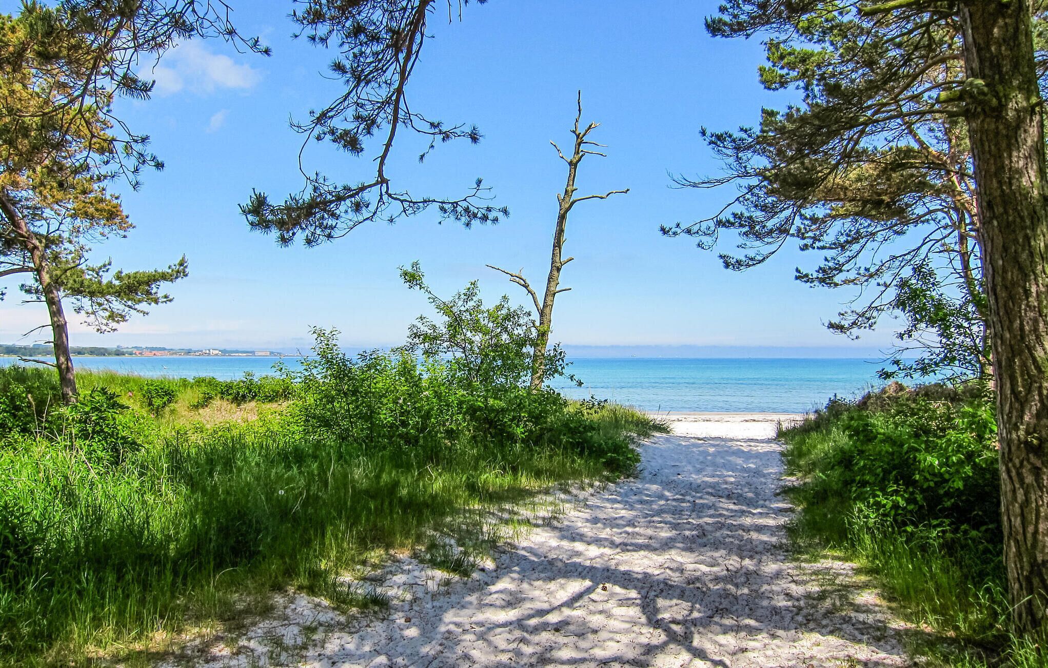 بالقرب من الشاطئ