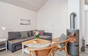 Fernseher, Kamin, DVD-Player