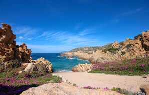 In Strandnähe, Angeln