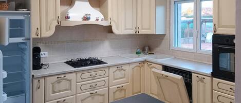 Fridge, oven, stovetop, dishwasher