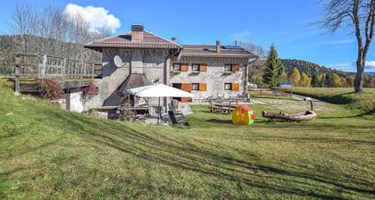 Pet friendly home in Castello Tesino