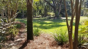 A lush garden with a variety of trees, a grassy lawn, and a clear sky.