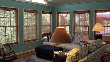 TV, DVD player, books, video library