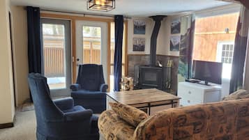 Smart TV, chimenea y reproductor de DVD