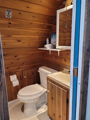 Shower, hair dryer, towels, toilet paper