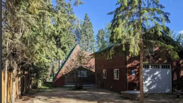 A rustic cabin with a sloped roof, surrounded by dense forest.
