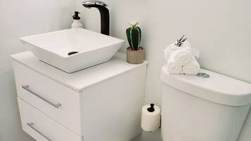 A modern bathroom with a white sink, a toilet, and a small cactus plant.