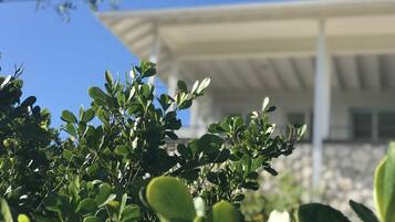 DĂ©tail de lâextĂ©rieur