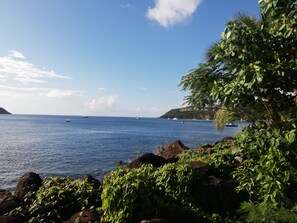Vista desde la propiedad